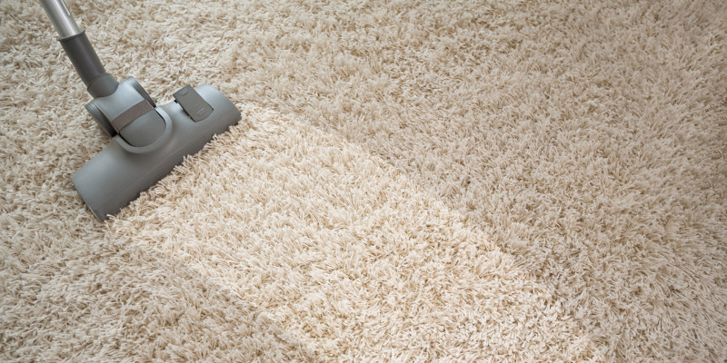 Benefits Steam Cleaning Carpets - Blog